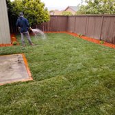 Watering sod