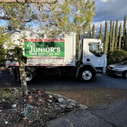 Juniors Tree Service Inc
