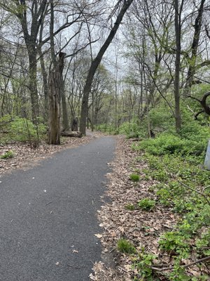 Photo of Inwood Hill Park - New York, NY, US. Beautiful trails!