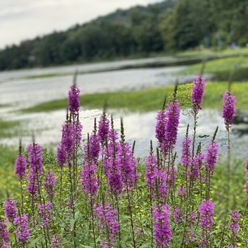 South Mountain Reservation