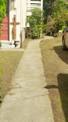 Photo of Discount Clean-Up Gardening - San Francisco, CA, US. Post yard clean up and clean as a whistle!