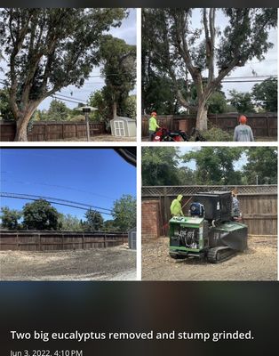 Photo of Cal-Line Tree Care - San Mateo - San Mateo, CA, US.