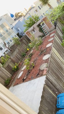 Photo of Discount Clean-Up Gardening - San Francisco, CA, US. After!