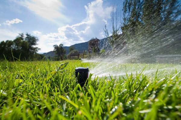 Photo of Willow Glen Gardening - San Jose, CA, US.