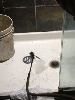 Photo of Precision Rooter & Drain - San Francisco, CA, US. Shower drain which was backing up due to hair buildup