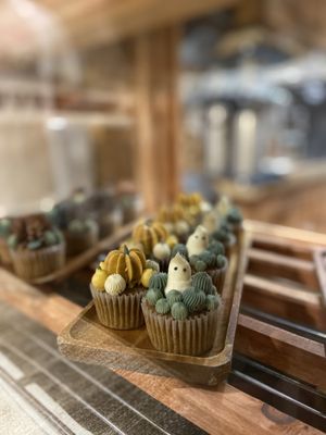 Photo of Urban Backyard - New York, NY, US. Mini Succulent Cupcakes