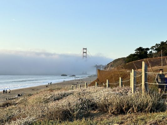 Photo of Baker Beach - San Francisco, CA, US. On a clear day you get one of the best views of the bridge at sea level