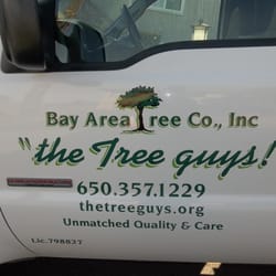 The Tree Guys - Bay Area Tree