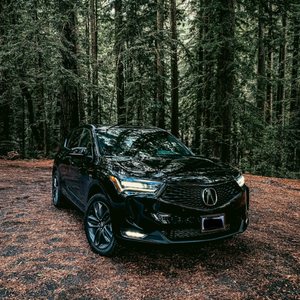 Hopkins Acura on Yelp