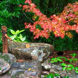 Henry Buder’s Landscape Restoration