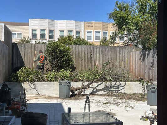 Photo of Discount Clean-Up Gardening - San Francisco, CA, US. Getting it done ahead of schedule.