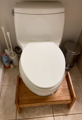 Photo of Vic's Handy Plumbing - Sunnyvale, CA, US. New toilet! (Santa Rosa by Kohler in case you're wondering)