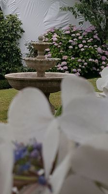 Photo of Jean Pierre Gardening - San Francisco, CA, US. a fountain in a garden