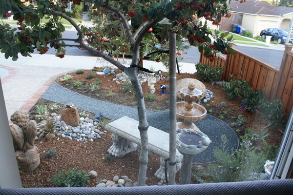 Successful Landscaping Projects