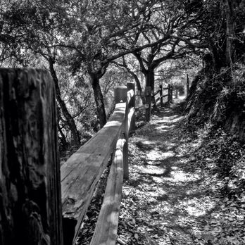 Angel Island State Park