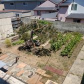 
Backyard debris cleanup
