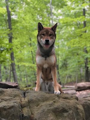 Photo of Mills Reservation - Cedar Grove, NJ, US. Took our baby boy here for his birthday today!