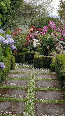 Photo of Jean Pierre Gardening - San Francisco, CA, US. a garden with flowers and shrubs