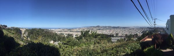 Photo of Precision Tree Care - Pacifica, CA, US. Crown reduction for view