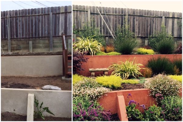 Photo of Forevergreen Landscape - San Francisco, CA, US. Before & After: a terraced garden
