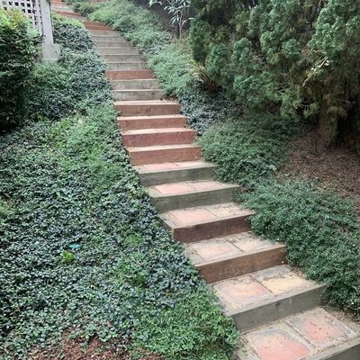 Photo of Mckay Irrigation Systems - Berkeley, CA, US. New Stairs Installation, Claremont Hills Berkeley California