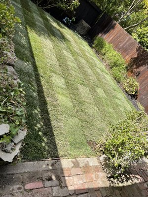 Photo of Blooms Gardening - San Francisco, CA, US. We re sod the lawn as the previous lawn had worn away and was due for some fresh sod.