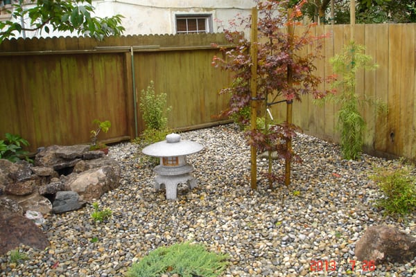 Photo of Tamate Landscaping - San Francisco, CA, US. Completed Project - Pic of Yukimi Lantern and Maple