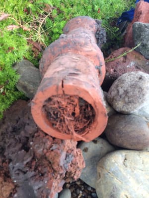 Photo of Smart Rooter & Plumbing - Alameda, CA, US. Compacted root log in terra cotta sewer line