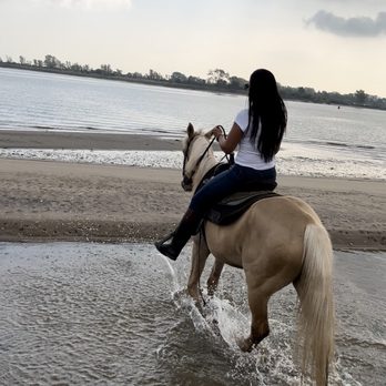 Jamaica Bay Riding Academy