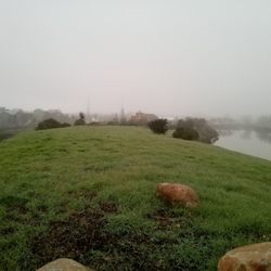 Friends of the Petaluma Riverfront