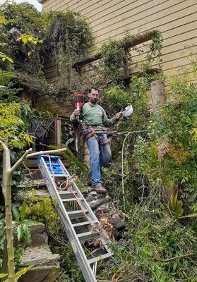 Photo of Evergreen Tree & Gardening Service - San Francisco, CA, US. Elias finishing up after.