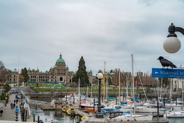 Photo of Parliament Buildings - Victoria, BC, CA.