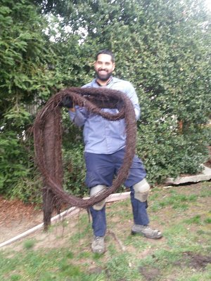 Photo of EJ Home Services - Santa Clara, CA, US. Here is a picture of the amount of roots Ray pulled out of a line in Redwood City