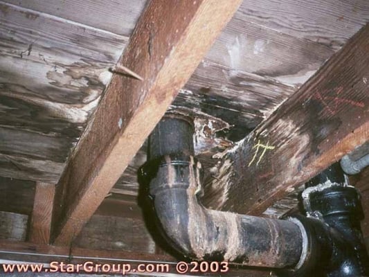 Photo of Allstate Plumbing - Fremont, CA, US. An old leaky sewer pipe...