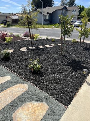 Photo of Fresh Edge - Oakley, CA, US. Roses, trees, mulch, flagstone path