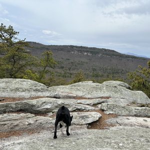 Mohonk Preserve on Yelp