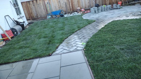 Photo of Willow Glen Gardening - San Jose, CA, US. Pavers and sod installation