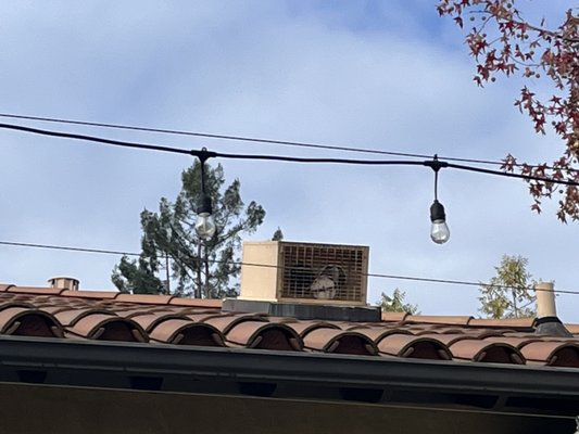 Photo of City Master Appliance Repair - Los Altos, CA, US. Range hood repair. Motor on the roof replacement