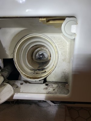 Photo of A Plus Appliance Repair - San Francisco, CA, US. Miele washing machine drain pump cleaning