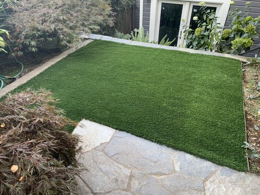 Photo of Blooms Gardening - San Francisco, CA, US. Recently installed small Artificial lawn , call today