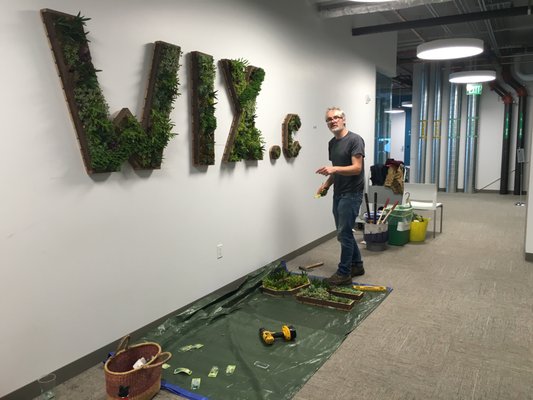 Photo of Hoes and Ditches - Oakland, CA, US. Wiz.com vertical wall garden under construction in 2016