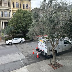 Sean Heskett Urban Arborist