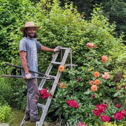 De Luca Gardening