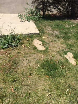 Photo of Jaime Munoz Gardening Services - South San Francisco, CA, US. Would you expect your lawn to look like this?