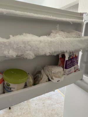 Photo of All Brand Appliance Repair - San Francisco, CA, US. Refrigerator freeze section was all iced up