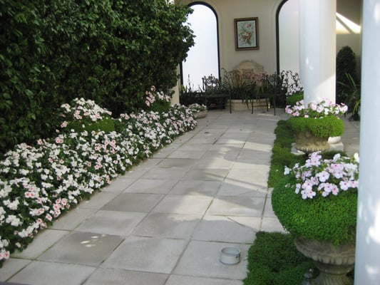 Photo of Jean Pierre Gardening - San Francisco, CA, US.