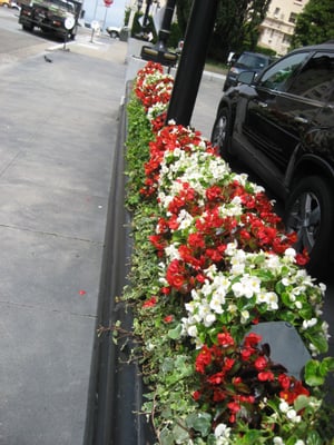 Photo of Jean Pierre Gardening - San Francisco, CA, US.