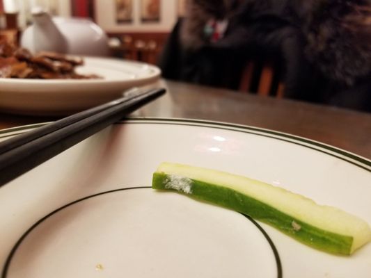 Photo of Beijing Bistro - Victoria, BC, CA. White mould growing on the cucumber served with the Peking duck