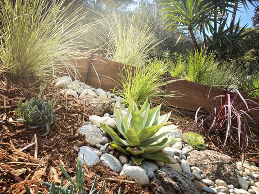 Photo of Forevergreen Landscape - San Francisco, CA, US. Agave & river rock