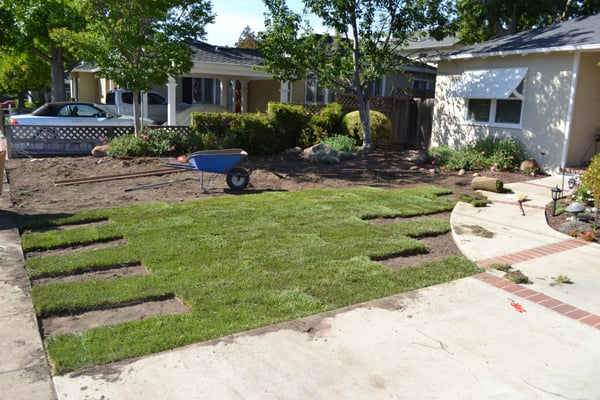 Photo of Hoes and Ditches - Oakland, CA, US. Rolling out the sod takes skill and precision.